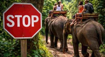 Stop alle passeggiate sugli elefanti: l’Indonesia dice basta al turismo che sfrutta gli animali