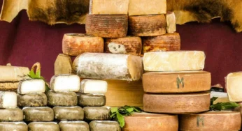 Formaggi Fermentati: Scopri le Tipologie, Caratteristiche e Usi in Cucina