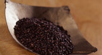 Grani del Paradiso: Scopriamo la Spezia Africana che Rivoluziona la Cucina